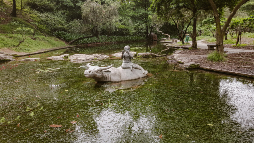 Baiyun Mountain, China 2016-10