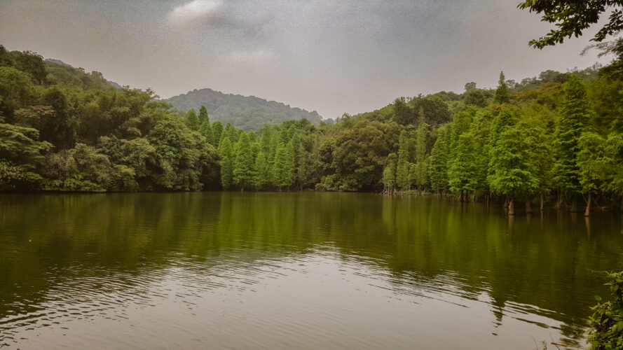 Baiyun Mountain, China 2016-12