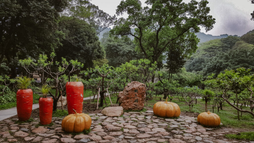 Baiyun Mountain, China 2016-9