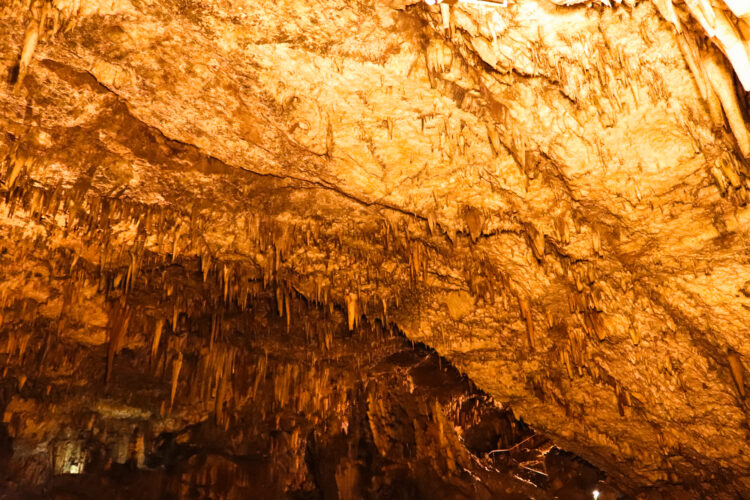 Drogarati Cave, Cephalonia, Greece 2018-13