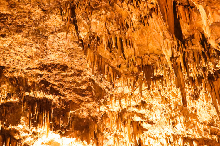 Drogarati Cave, Cephalonia, Greece 2018-4