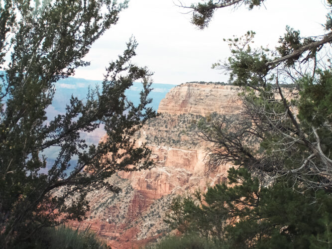 Grand Canyon, Arizona, USA 2009-11