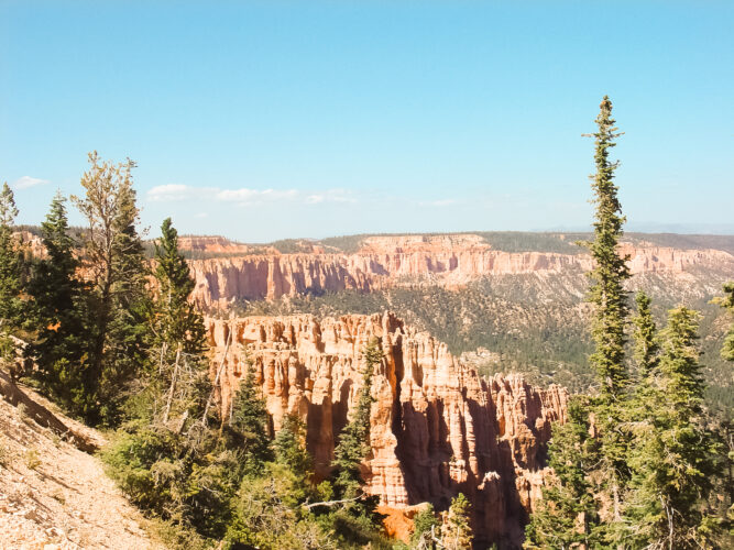 Grand Canyon, Arizona, USA 2009-24