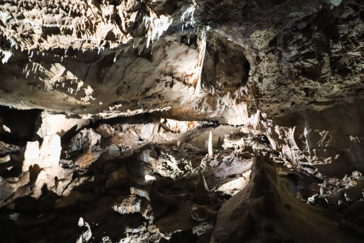 Moravian Karst, Czechia 2018-10