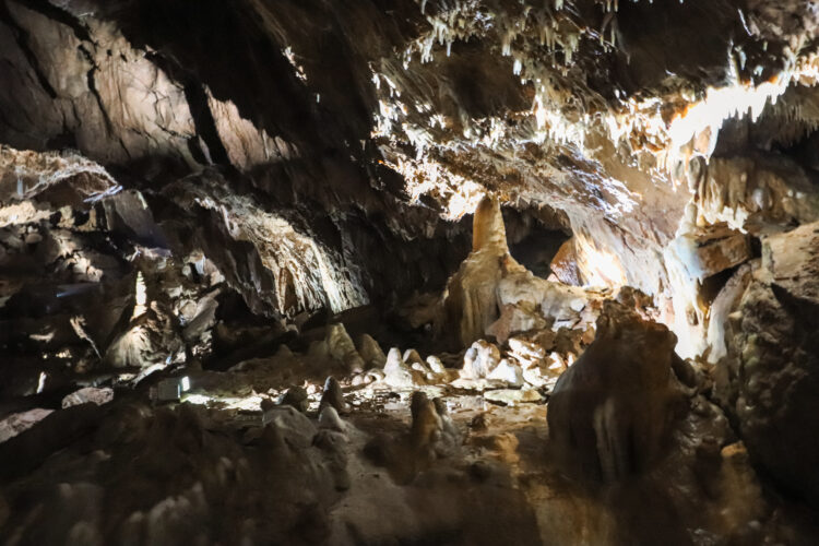 Moravian Karst, Czechia 2018-11