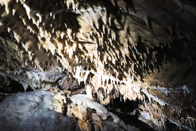 Moravian Karst, Czechia 2018-12