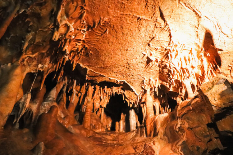 Moravian Karst, Czechia 2018-33