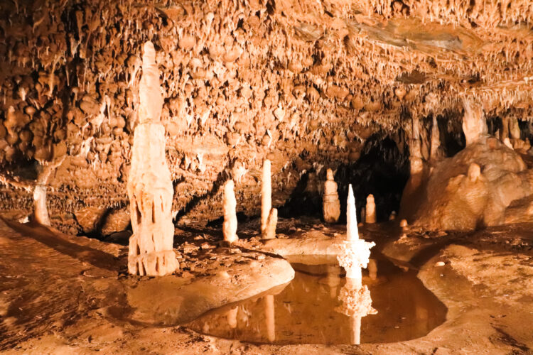 Moravian Karst, Czechia 2018-44