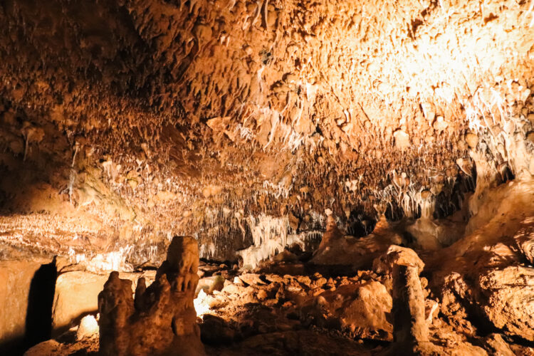 Moravian Karst, Czechia 2018-47