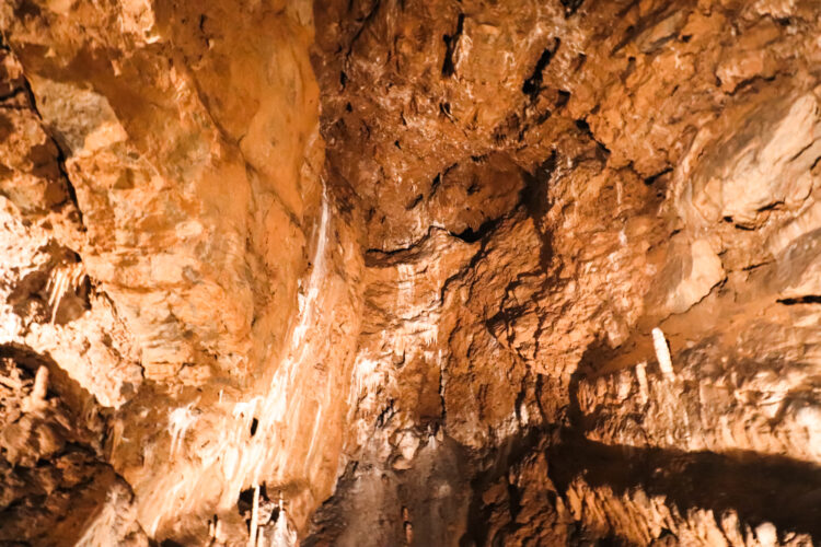 Moravian Karst, Czechia 2018-48