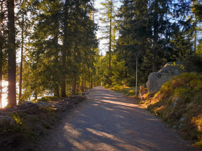 Strbske Pleso, Slovakia 2018-5