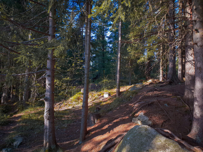 Strbske Pleso, Slovakia 2018-6