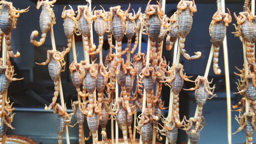 Streetfood, Beijing, China 2015-1