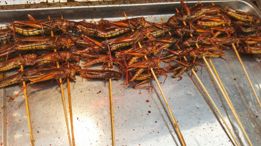 Streetfood, Beijing, China 2015-12