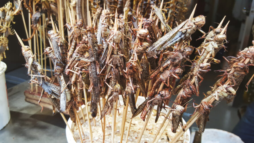 Streetfood, Beijing, China 2015-13