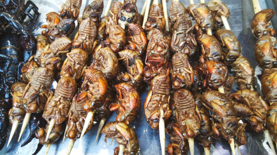 Streetfood, Beijing, China 2015-14