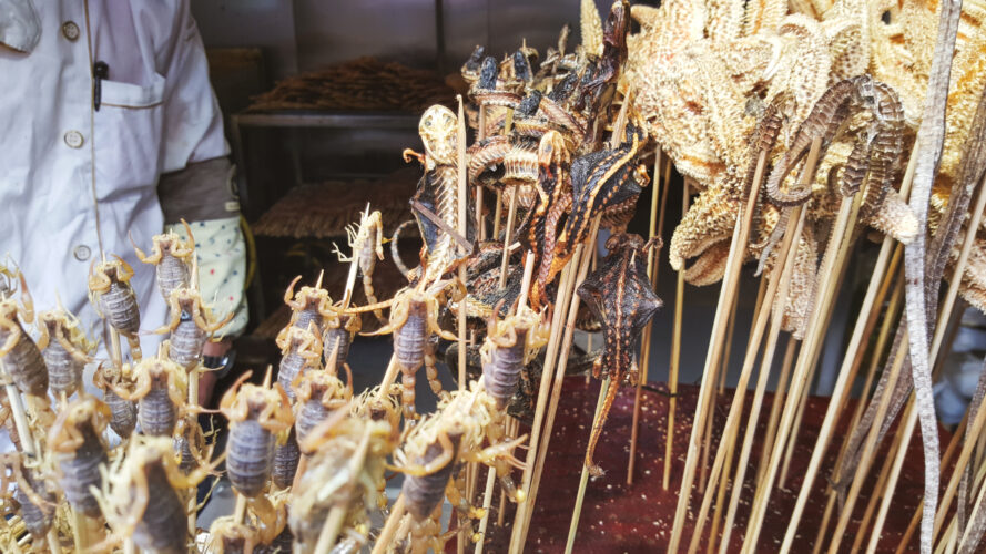 Streetfood, Beijing, China 2015-15