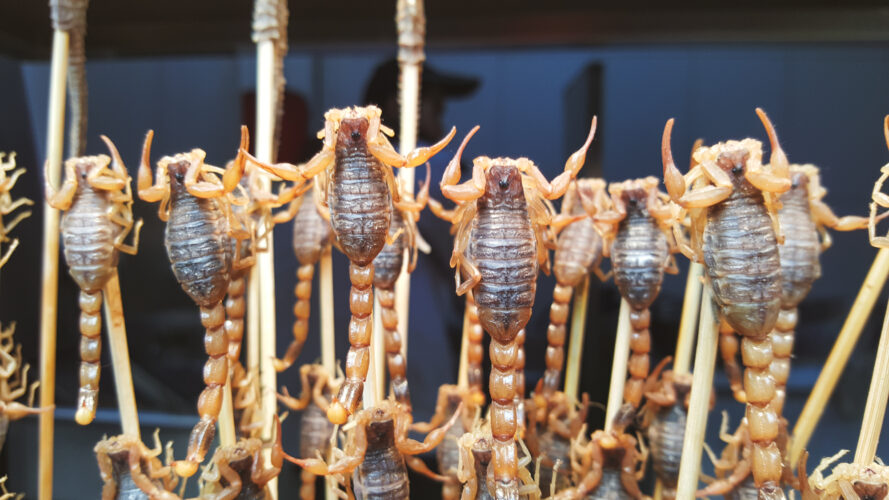 Streetfood, Beijing, China 2015-2