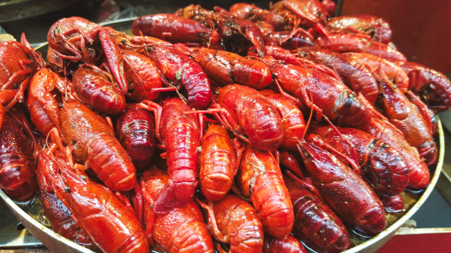 Streetfood, Beijing, China 2015-44