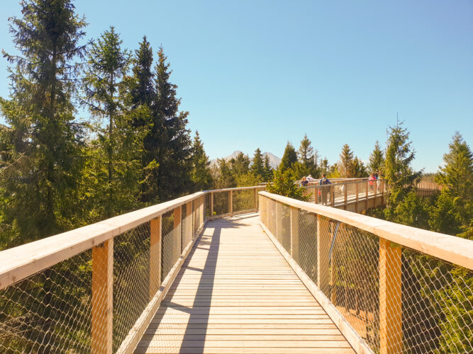 Treetop walk Bachledka, Slovakia 2018-1