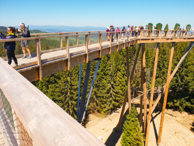 Treetop walk Bachledka, Slovakia 2018-10