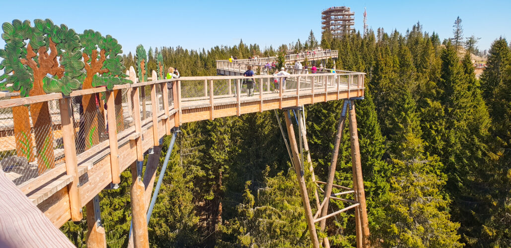 Treetop walk Bachledka, Slovakia 2018-11