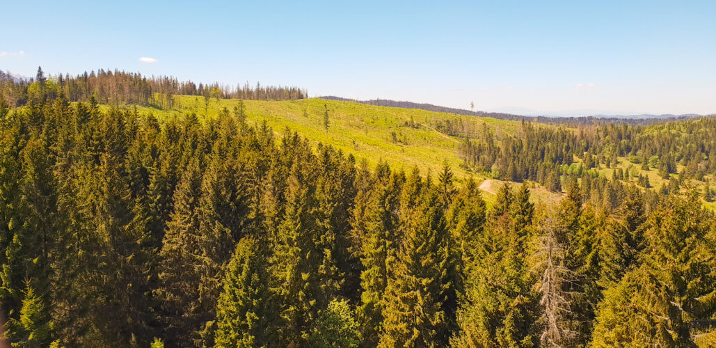 Treetop walk Bachledka, Slovakia 2018-12