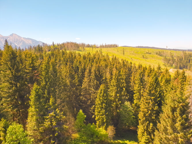 Treetop walk Bachledka, Slovakia 2018-13