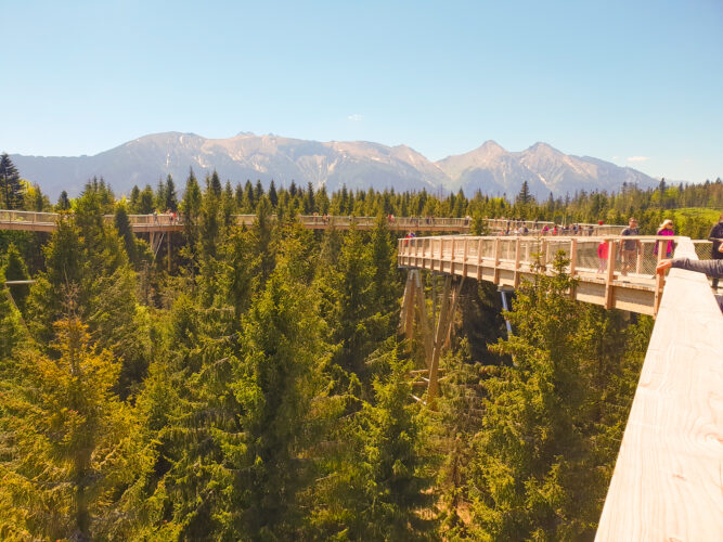 Treetop walk Bachledka, Slovakia 2018-14