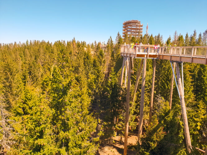 Treetop walk Bachledka, Slovakia 2018-15