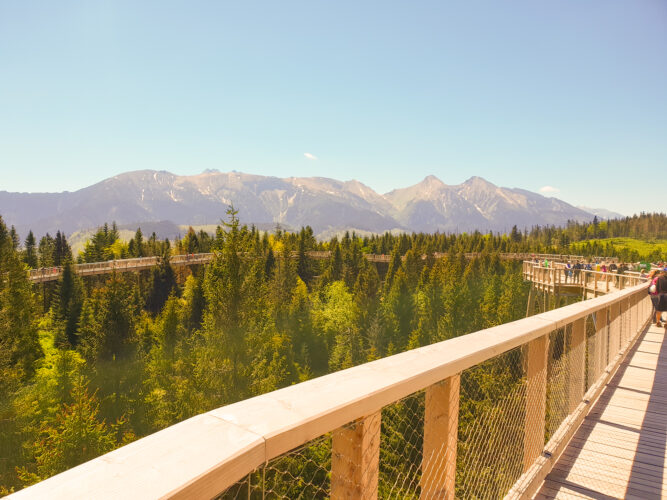 Treetop walk Bachledka, Slovakia 2018-16