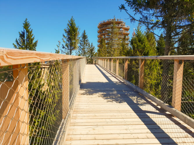 Treetop walk Bachledka, Slovakia 2018-17