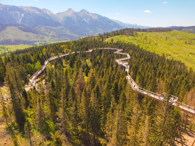 Treetop walk Bachledka, Slovakia 2018-18