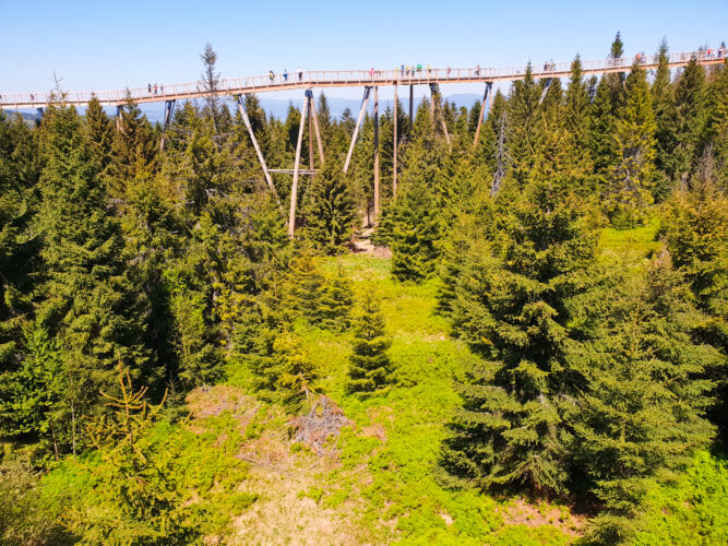 Treetop walk Bachledka, Slovakia 2018-2