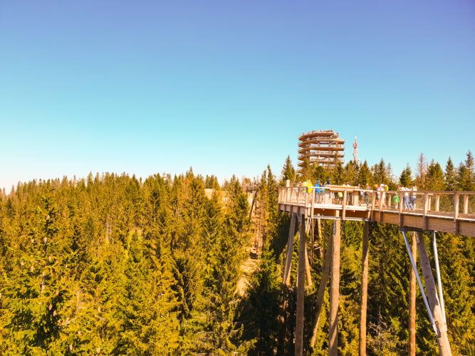 Treetop walk Bachledka, Slovakia 2018-24