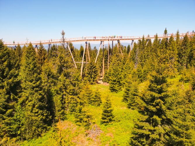 Treetop walk Bachledka, Slovakia 2018-3