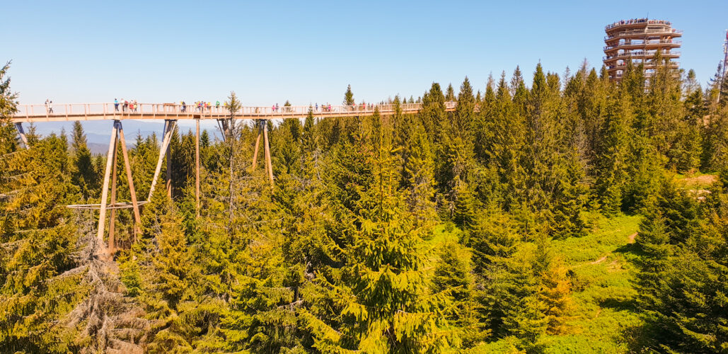 Treetop walk Bachledka, Slovakia 2018-4