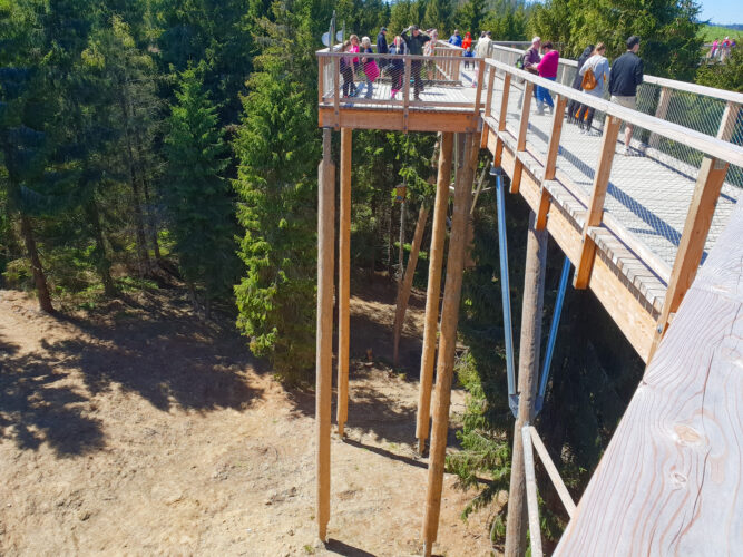 Treetop walk Bachledka, Slovakia 2018-5