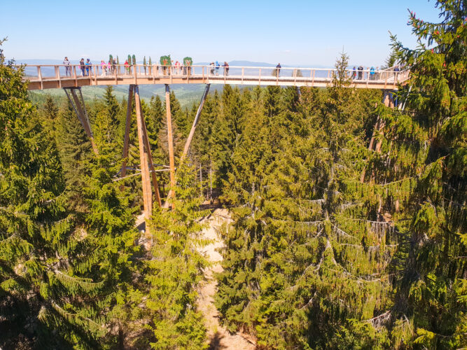 Treetop walk Bachledka, Slovakia 2018-7