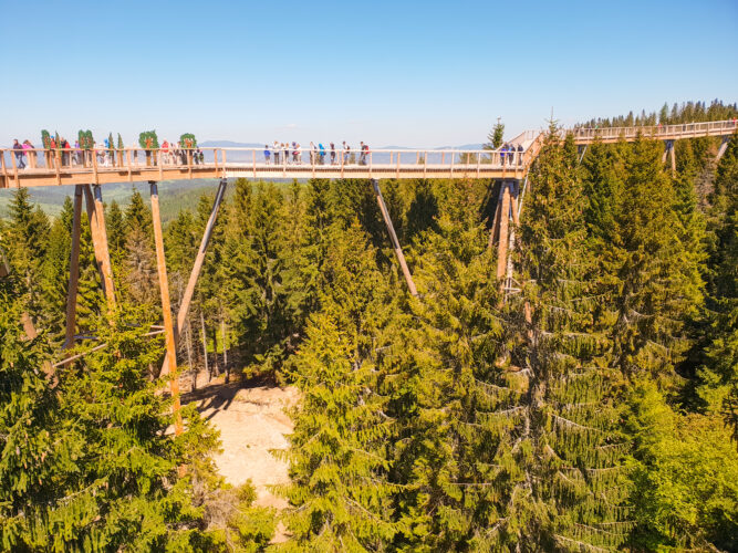 Treetop walk Bachledka, Slovakia 2018-8