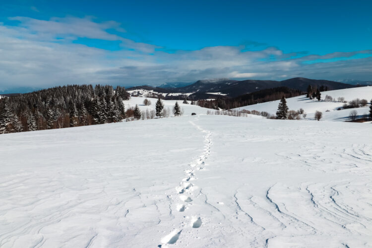 Winter fairy tale, Lom nad Rimavicou, Slovakia 2018-7