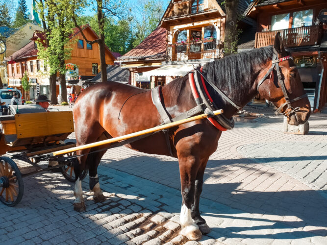 Zakopane, Poland 2018-7