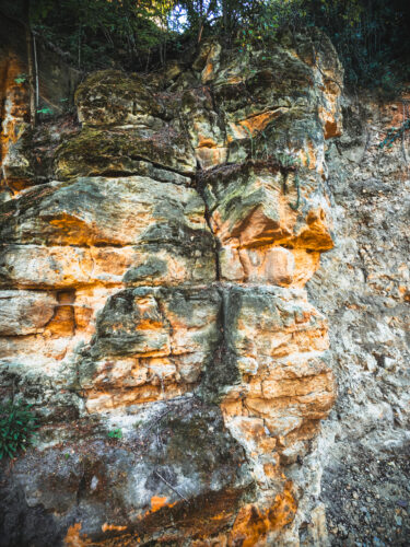 Prosek Rock and Forest Prague Czechia 2024-06