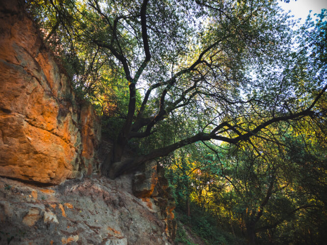 Prosek Rock and Forest Prague Czechia 2024-07