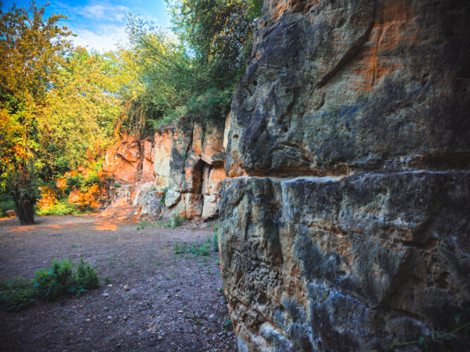 Prosek Rock and Forest Prague Czechia 2024-12