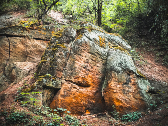 Prosek Rock and Forest Prague Czechia 2024-22