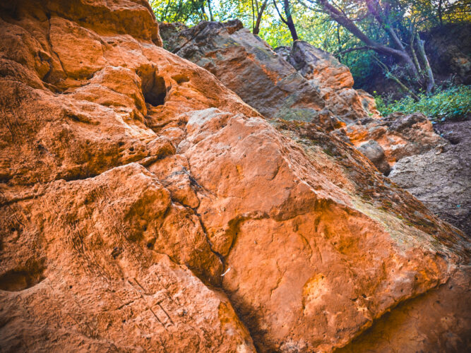 Prosek Rock and Forest Prague Czechia 2024-23