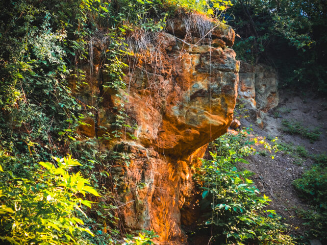 Prosek Rock and Forest Prague Czechia 2024-25