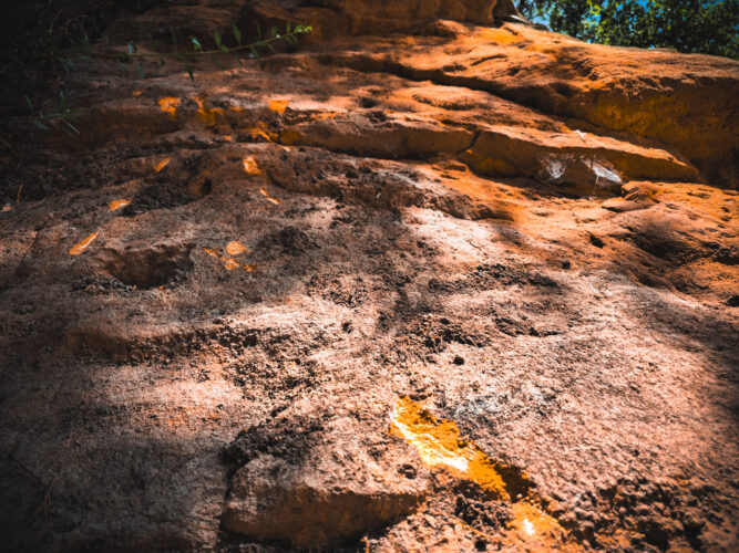 Prosek Rock and Forest Prague Czechia 2024-31