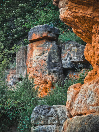 Prosek Rock and Forest Prague Czechia 2024-35